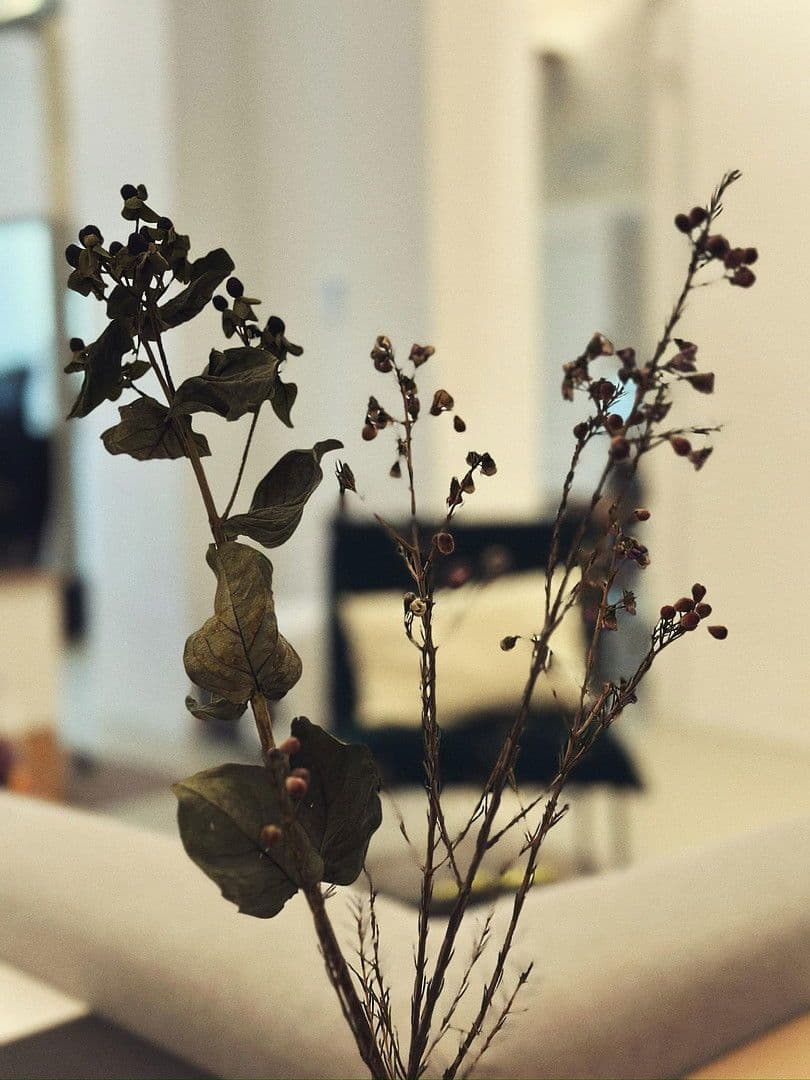 office to rent, 135 m², Stuttgart, Baden-Württemberg office to rent, 135 m², Stuttgart, Baden-Württemberg