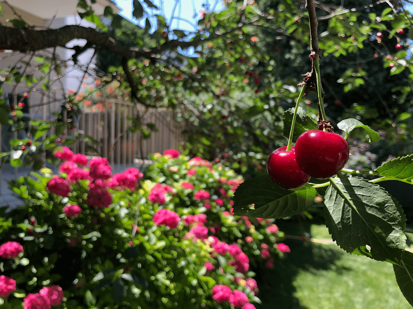 house for sale, 320 m², Frankfurt, Hesse house for sale, 320 m², Frankfurt, Hesse