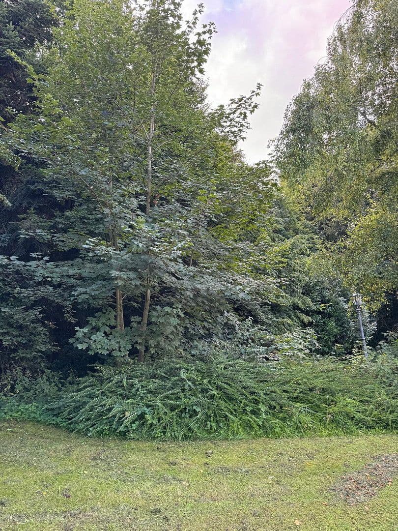 plot for sale, 1,800 m², Kötz, Bavaria plot for sale, 1,800 m², Kötz, Bavaria