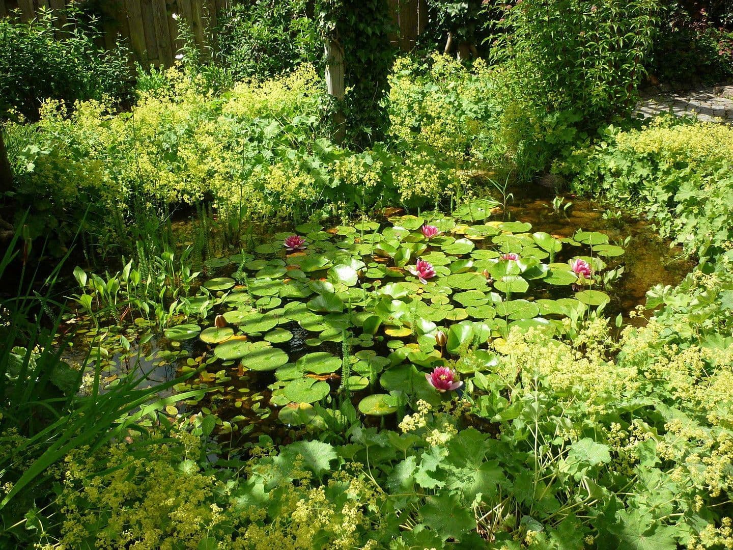 house for sale, 240 m², Flensburg, Schleswig-Holstein house for sale, 240 m², Flensburg, Schleswig-Holstein