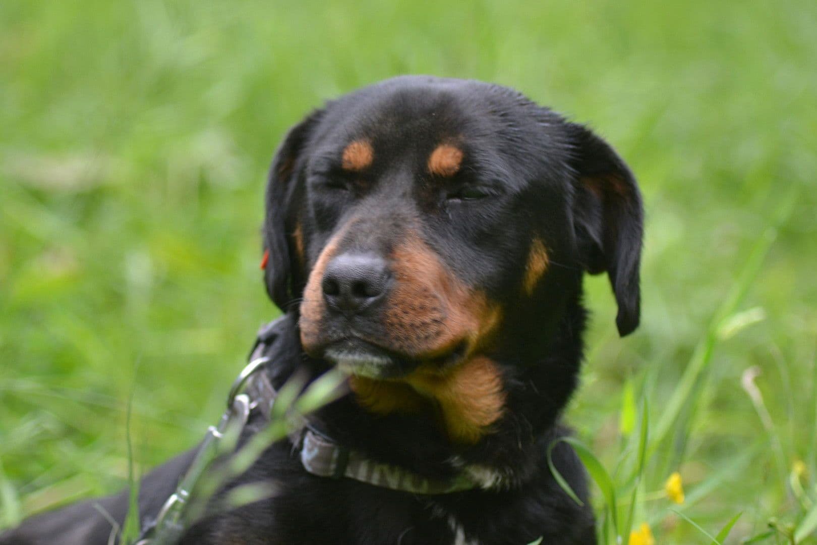 3 bedroom flat to rent, 99 m², Kochel am See, Bavaria 3 bedroom flat to rent, 99 m², Kochel am See, Bavaria