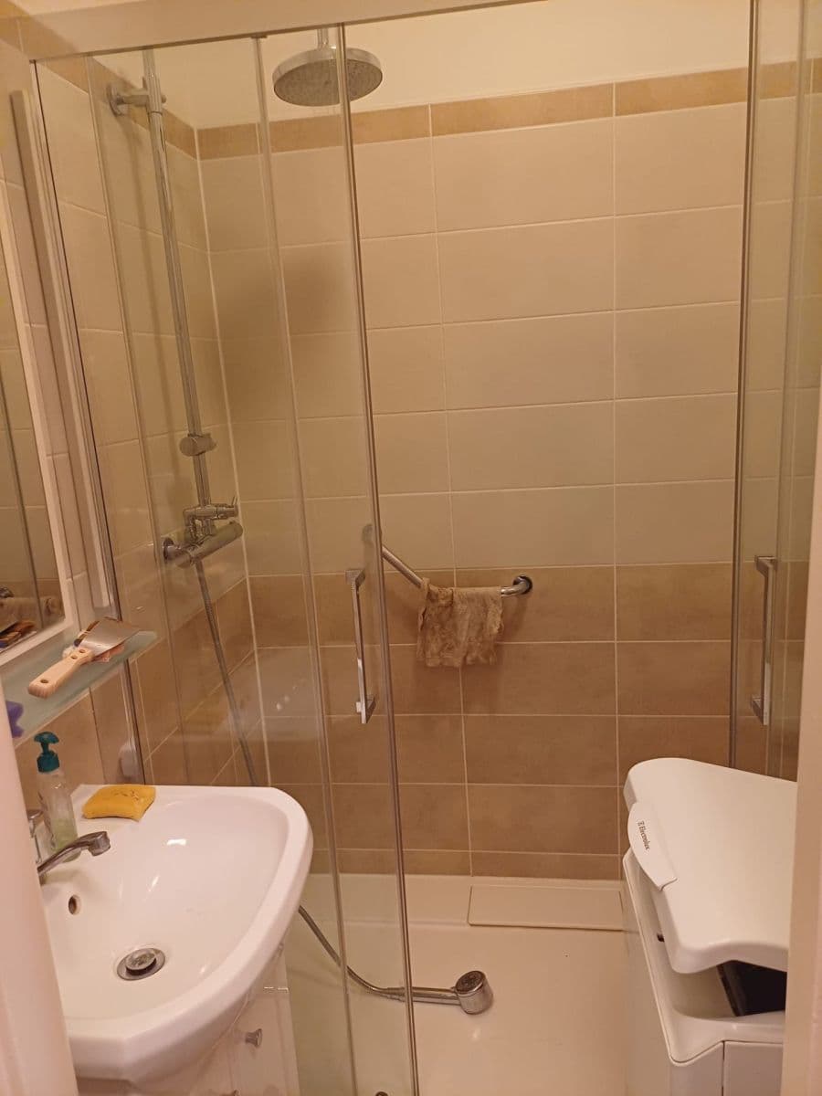 1 bedroom with open-plan kitchen flat to rent, 54 m², Zborovská, Brno, Jihomoravský Region 1 bedroom with open-plan kitchen flat to rent, 54 m², Zborovská, Brno, Jihomoravský Region