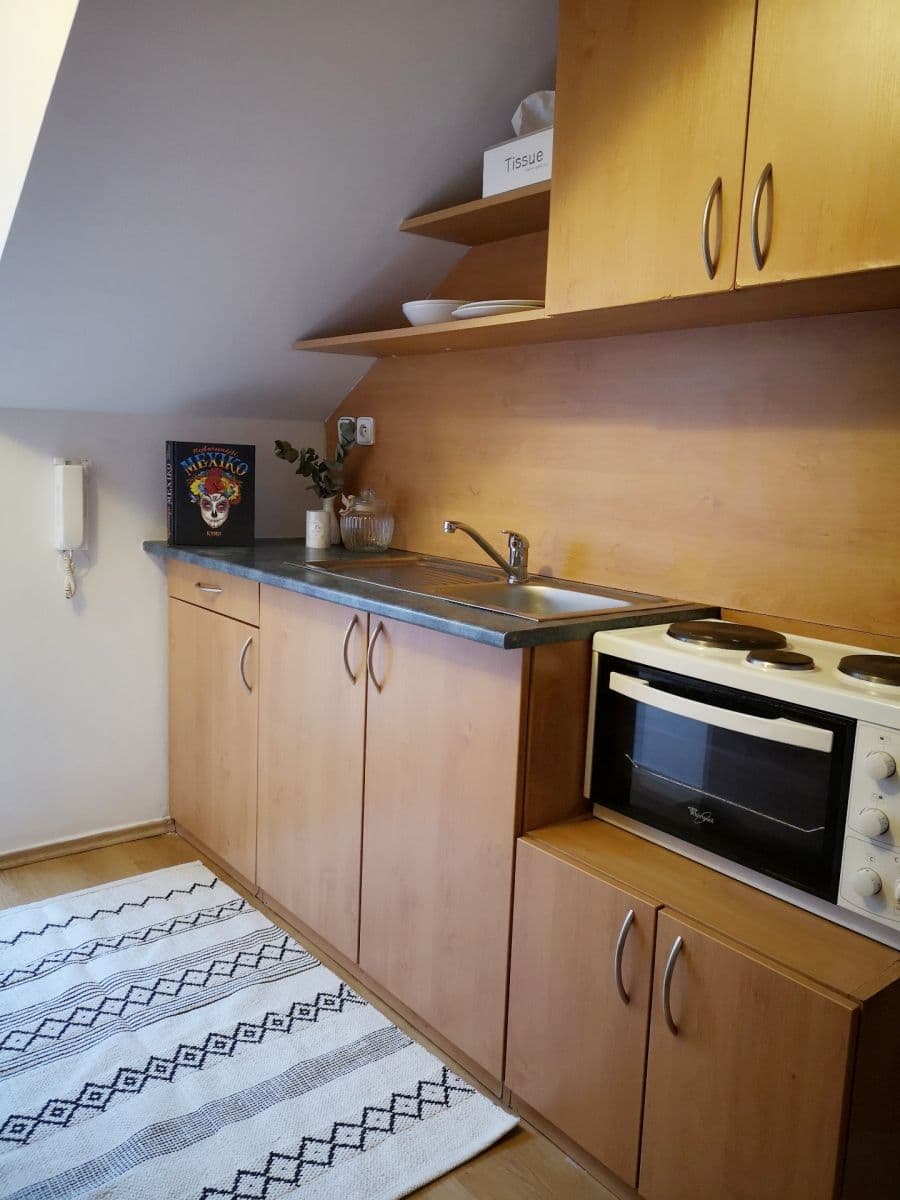 1 bedroom with open-plan kitchen flat to rent, 36 m², Rousínov, Jihomoravský Region 1 bedroom with open-plan kitchen flat to rent, 36 m², Rousínov, Jihomoravský Region