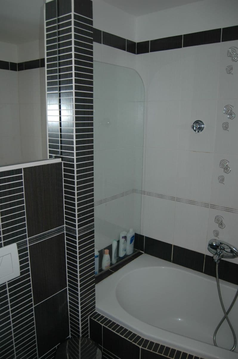 1 bedroom with open-plan kitchen flat to rent, 50 m², Čertouská, Prague, Prague 1 bedroom with open-plan kitchen flat to rent, 50 m², Čertouská, Prague, Prague