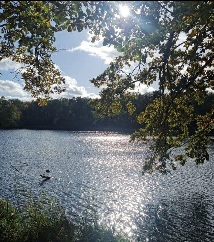 5 bedroom flat for sale, 110 m², Berlin, Berlin 5 bedroom flat for sale, 110 m², Berlin, Berlin