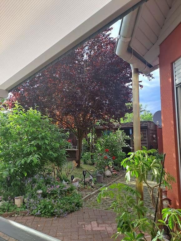 house for sale, 117 m², Vetschau/Spreewald, Brandenburg house for sale, 117 m², Vetschau/Spreewald, Brandenburg