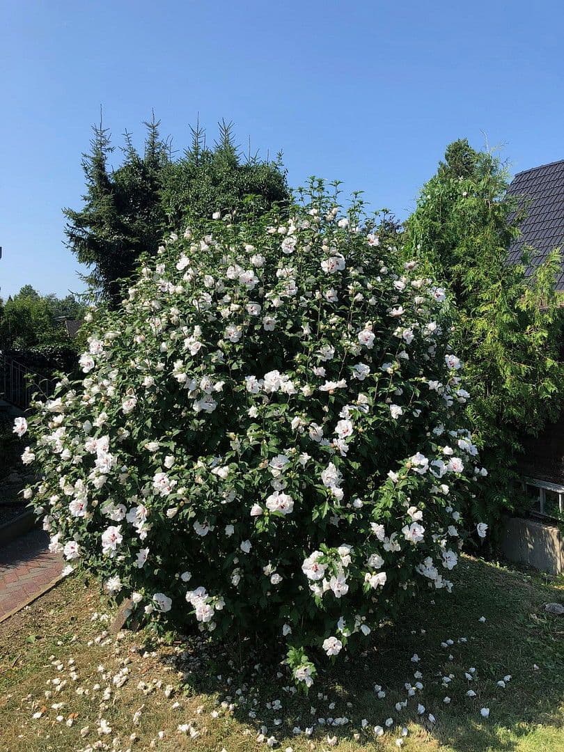 1 bedroom flat for sale, 35 m², Hamburg, Hamburg 1 bedroom flat for sale, 35 m², Hamburg, Hamburg