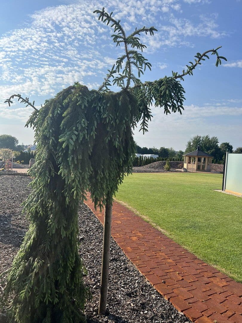 house for sale, 230 m², Weißkeißel – Wuskidź, Saxony house for sale, 230 m², Weißkeißel – Wuskidź, Saxony