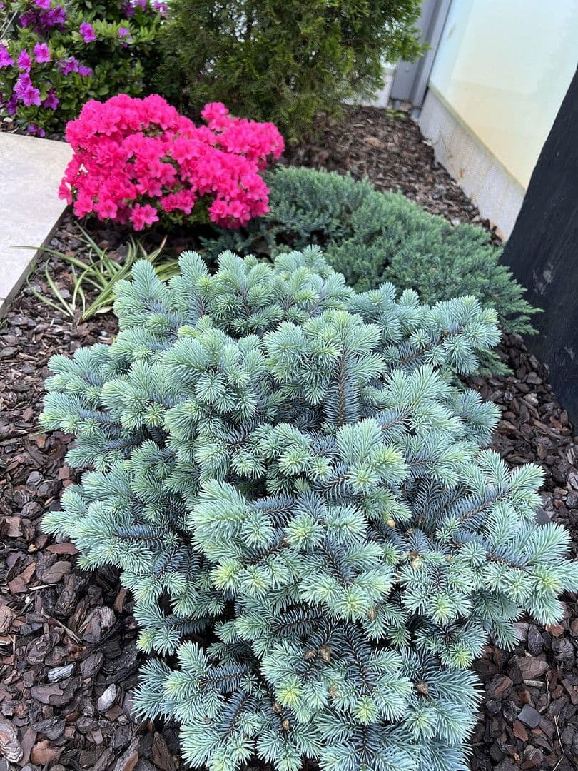 house for sale, 230 m², Weißkeißel – Wuskidź, Saxony house for sale, 230 m², Weißkeißel – Wuskidź, Saxony