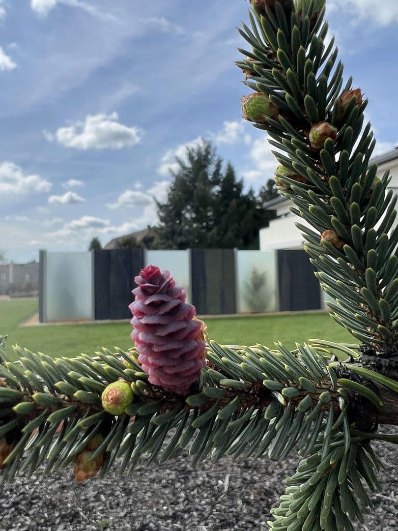 house for sale, 230 m², Weißkeißel – Wuskidź, Saxony house for sale, 230 m², Weißkeißel – Wuskidź, Saxony