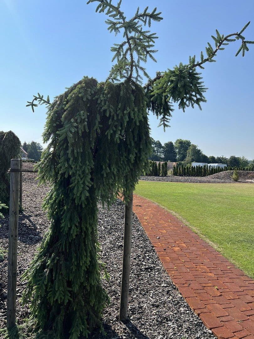 house for sale, 230 m², Weißkeißel – Wuskidź, Saxony house for sale, 230 m², Weißkeißel – Wuskidź, Saxony