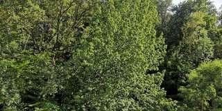 1 bedroom with open-plan kitchen flat to rent, 68 m², Im Asemwald, 22, Stuttgart - Plieningen, Baden-Württemberg 1 bedroom with open-plan kitchen flat to rent, 68 m², Im Asemwald, 22, Stuttgart - Plieningen, Baden-Württemberg