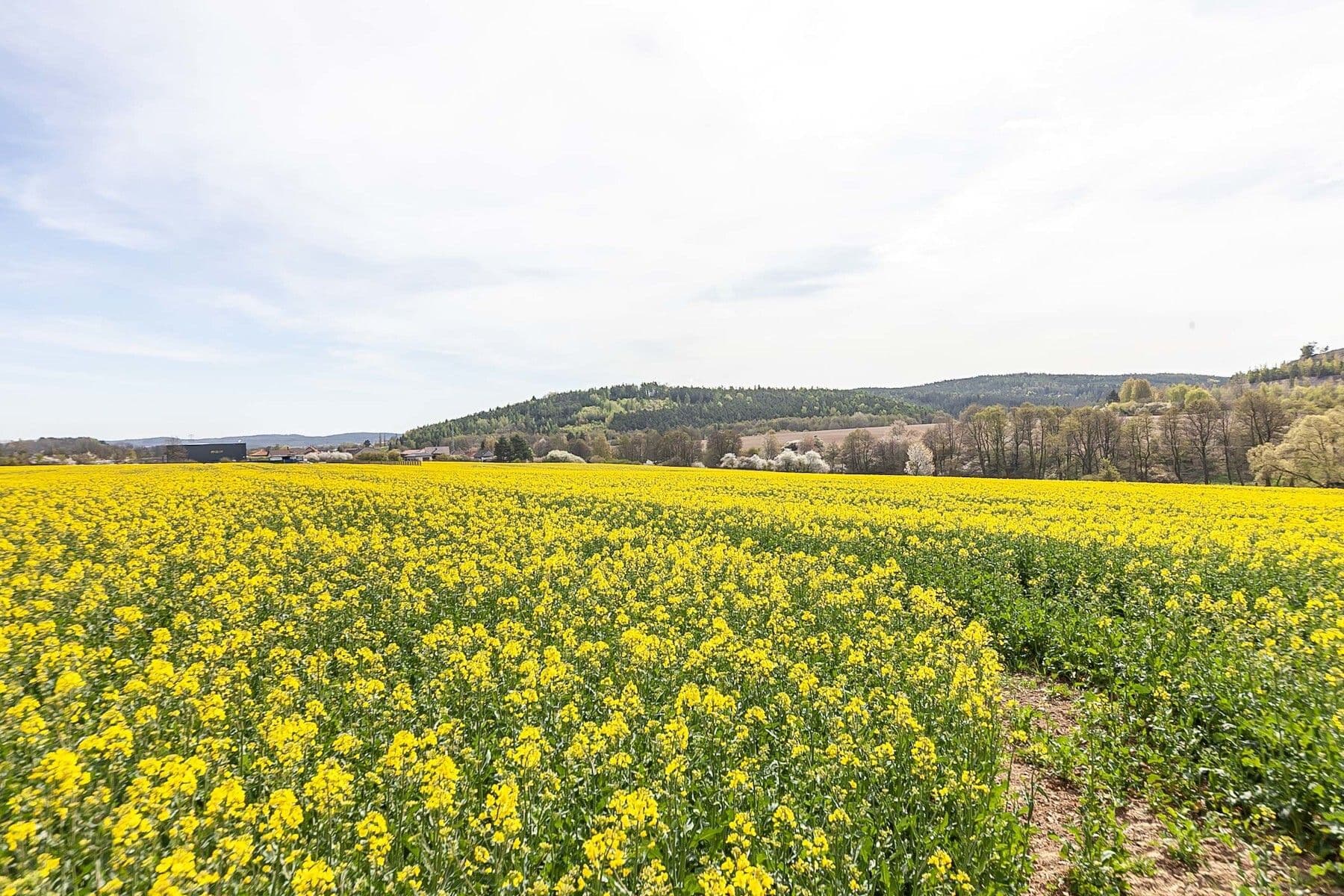 plot for sale, 6,839 m², Drásov, Jihomoravský Region plot for sale, 6,839 m², Drásov, Jihomoravský Region