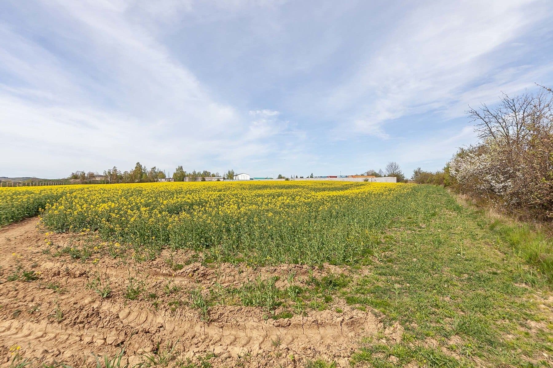 plot for sale, 6,839 m², Drásov, Jihomoravský Region plot for sale, 6,839 m², Drásov, Jihomoravský Region