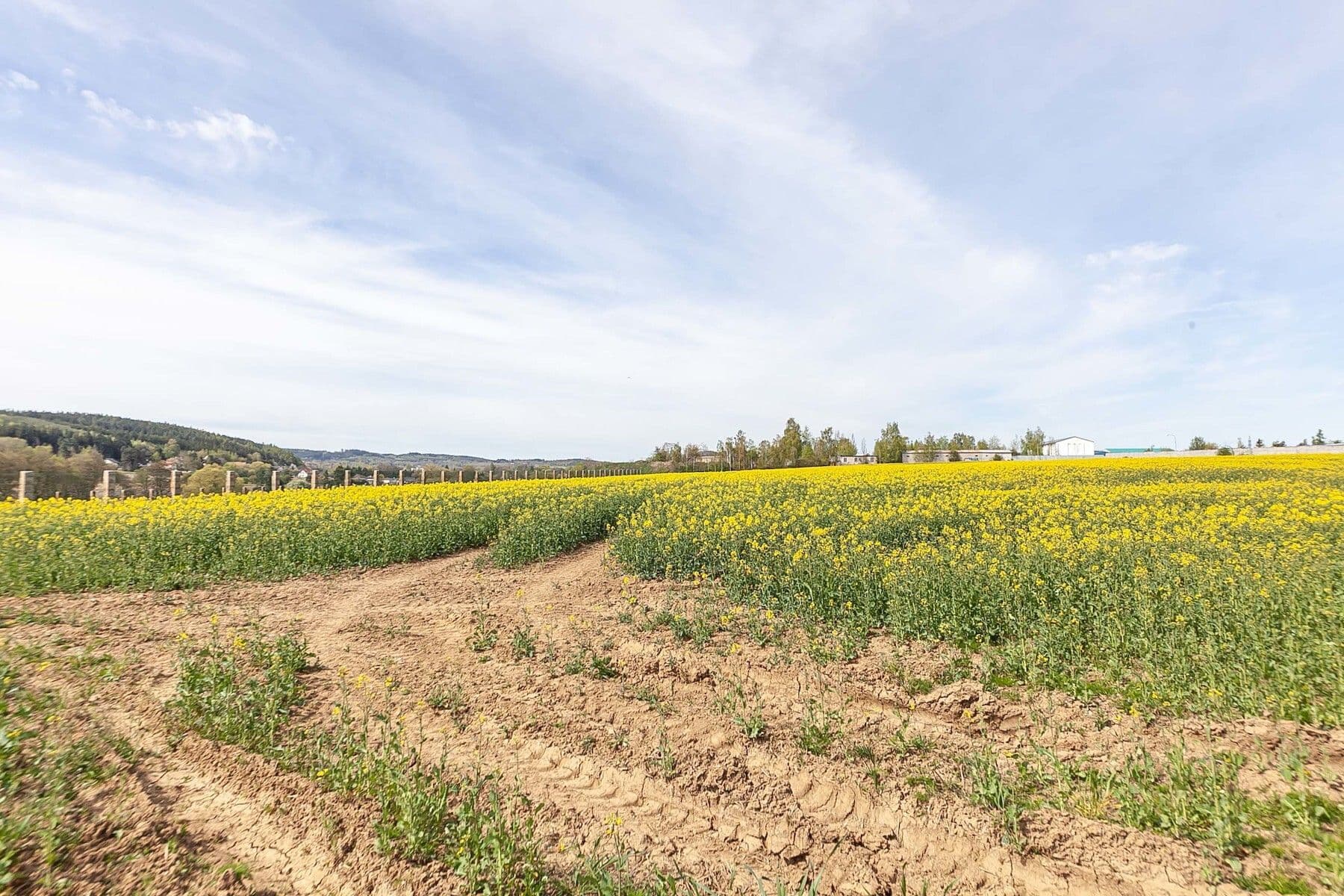 plot for sale, 6,839 m², Drásov, Jihomoravský Region plot for sale, 6,839 m², Drásov, Jihomoravský Region