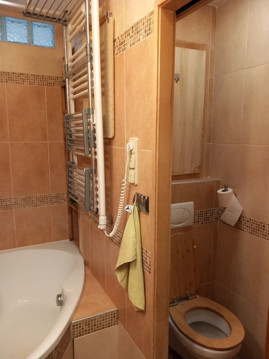 1 bedroom with open-plan kitchen flat to rent, 36 m², Tádžická, Prague, Prague 1 bedroom with open-plan kitchen flat to rent, 36 m², Tádžická, Prague, Prague