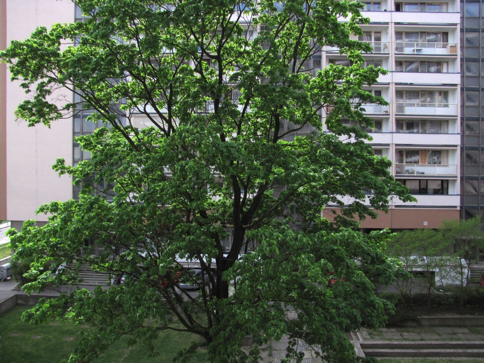 1 bedroom with open-plan kitchen flat to rent, 36 m², Tádžická, Prague, Prague 1 bedroom with open-plan kitchen flat to rent, 36 m², Tádžická, Prague, Prague