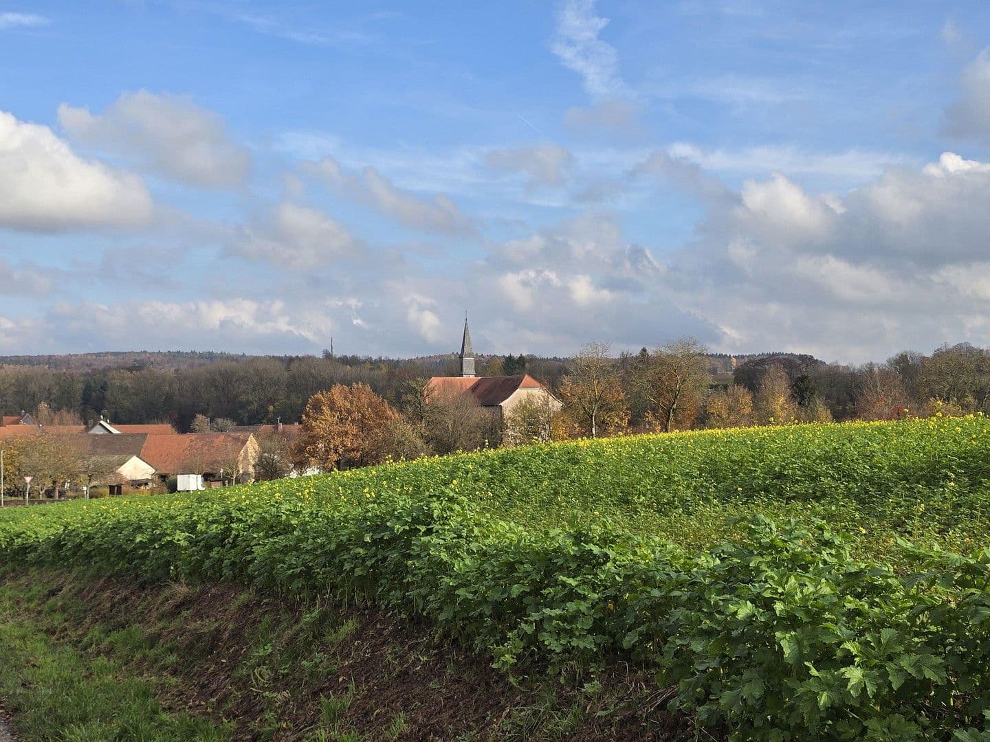 house for sale, 187 m², Lobbach, Baden-Württemberg house for sale, 187 m², Lobbach, Baden-Württemberg