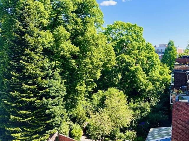 4 bedroom flat to rent, 110 m², Fuldastraße 21, Duisburg, North Rhine-Westphalia 4 bedroom flat to rent, 110 m², Fuldastraße 21, Duisburg, North Rhine-Westphalia