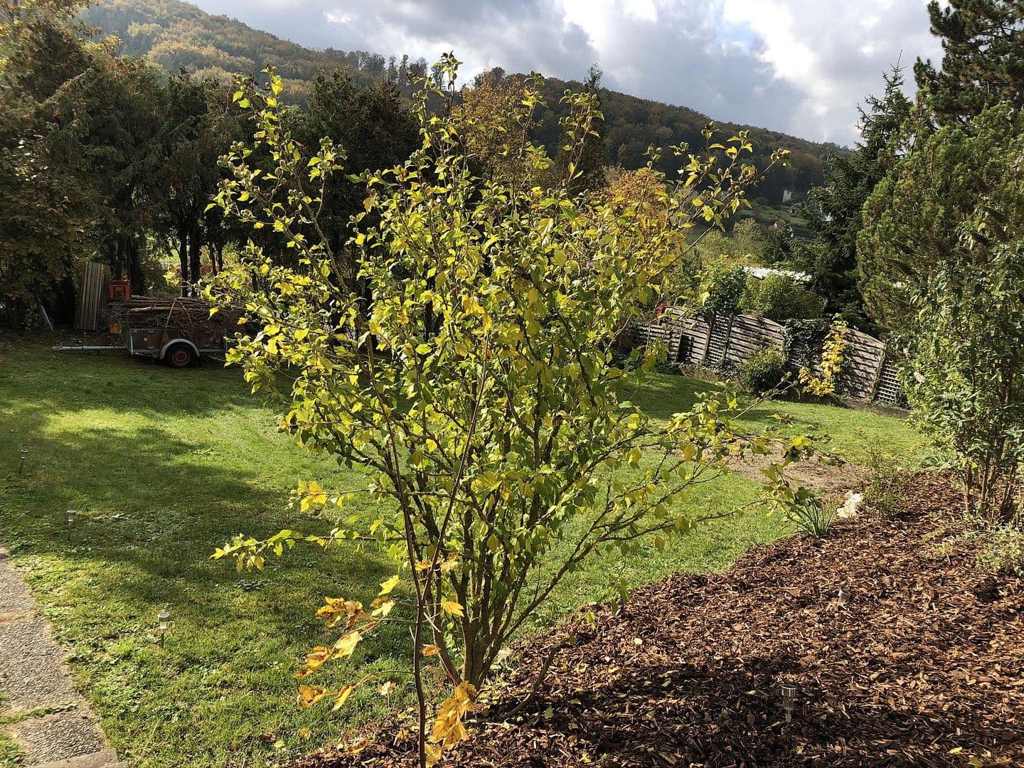 house for sale, 297 m², Blaustein, Baden-Württemberg house for sale, 297 m², Blaustein, Baden-Württemberg