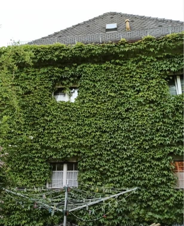 plot for sale, 724 m², Traunstein, Bavaria plot for sale, 724 m², Traunstein, Bavaria