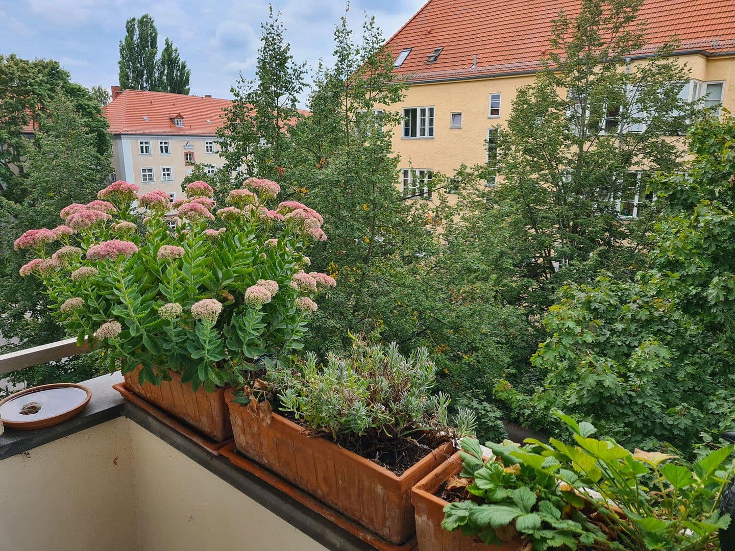 3 bedroom flat for sale, 68 m², Vineta Str.52, Berlin-Pankow, Berlin 3 bedroom flat for sale, 68 m², Vineta Str.52, Berlin-Pankow, Berlin