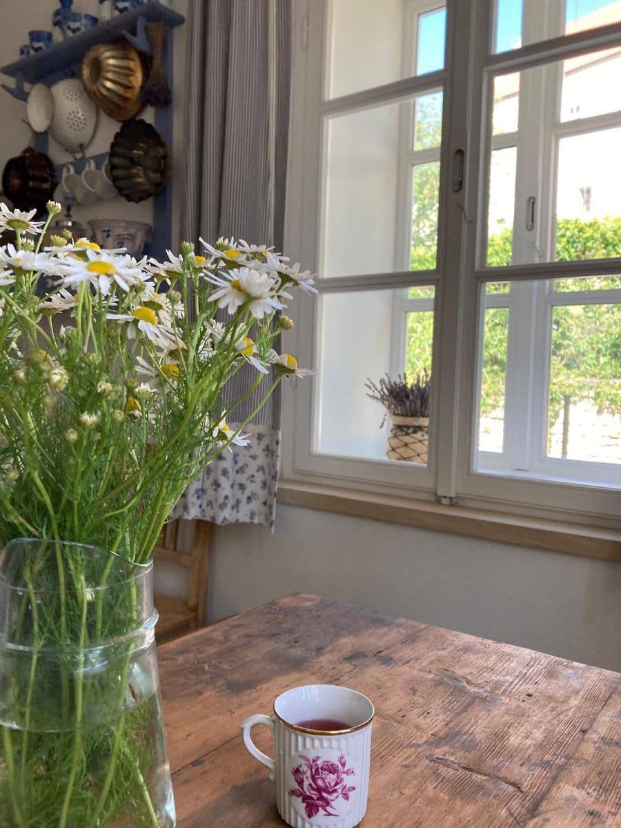 recreational property to rent, 0 m², Luže, Pardubický Region recreational property to rent, 0 m², Luže, Pardubický Region