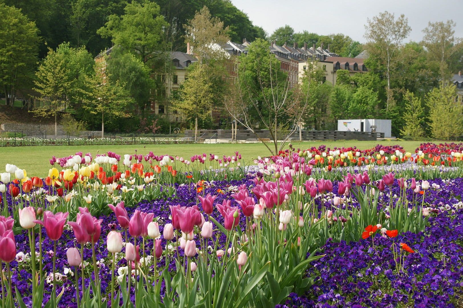 house for sale, 368 m², Birkenstraße 1, Reichenbach, Saxony house for sale, 368 m², Birkenstraße 1, Reichenbach, Saxony