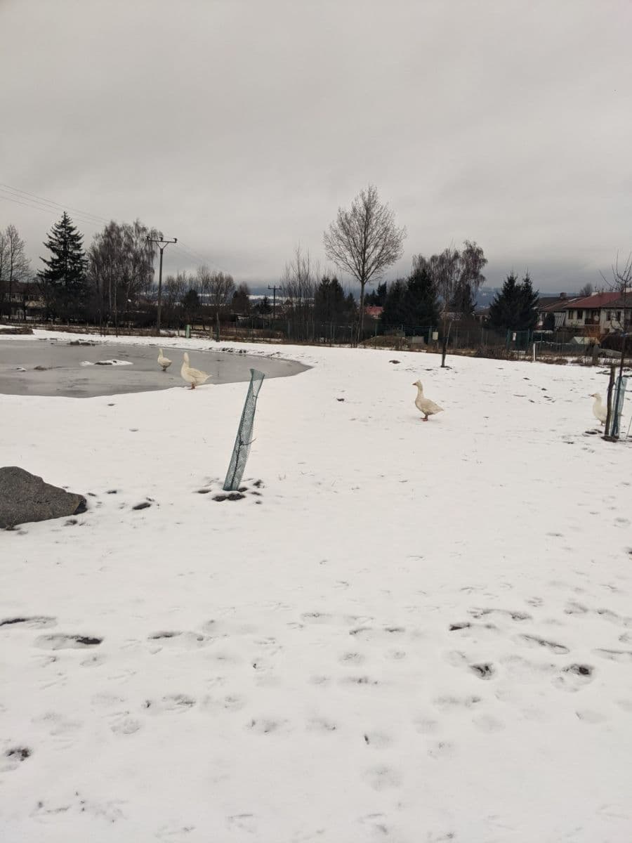 house for sale, 195 m², V sadech, Rožmitál pod Třemšínem, Středočeský Region house for sale, 195 m², V sadech, Rožmitál pod Třemšínem, Středočeský Region