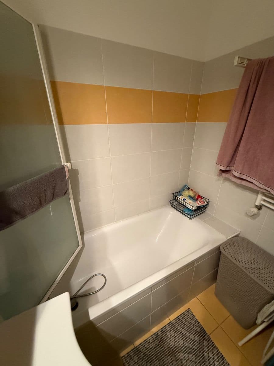 1 bedroom with open-plan kitchen flat to rent, 56 m², Čeňka Růžičky, Brno, Jihomoravský Region 1 bedroom with open-plan kitchen flat to rent, 56 m², Čeňka Růžičky, Brno, Jihomoravský Region