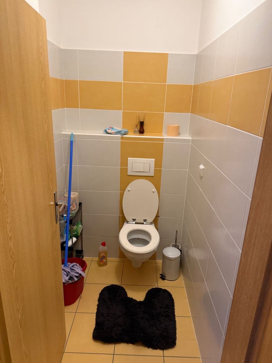 1 bedroom with open-plan kitchen flat to rent, 56 m², Čeňka Růžičky, Brno, Jihomoravský Region 1 bedroom with open-plan kitchen flat to rent, 56 m², Čeňka Růžičky, Brno, Jihomoravský Region