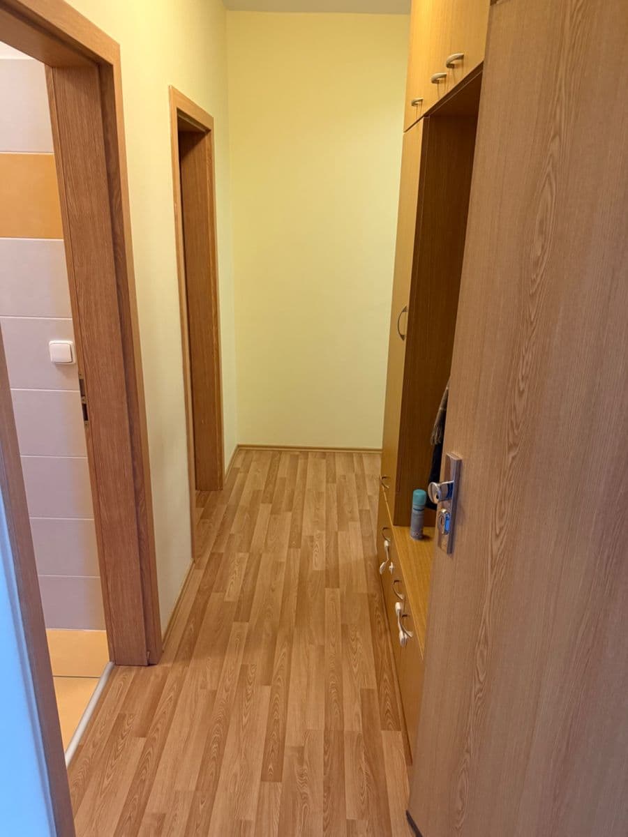 1 bedroom with open-plan kitchen flat to rent, 56 m², Čeňka Růžičky, Brno, Jihomoravský Region 1 bedroom with open-plan kitchen flat to rent, 56 m², Čeňka Růžičky, Brno, Jihomoravský Region