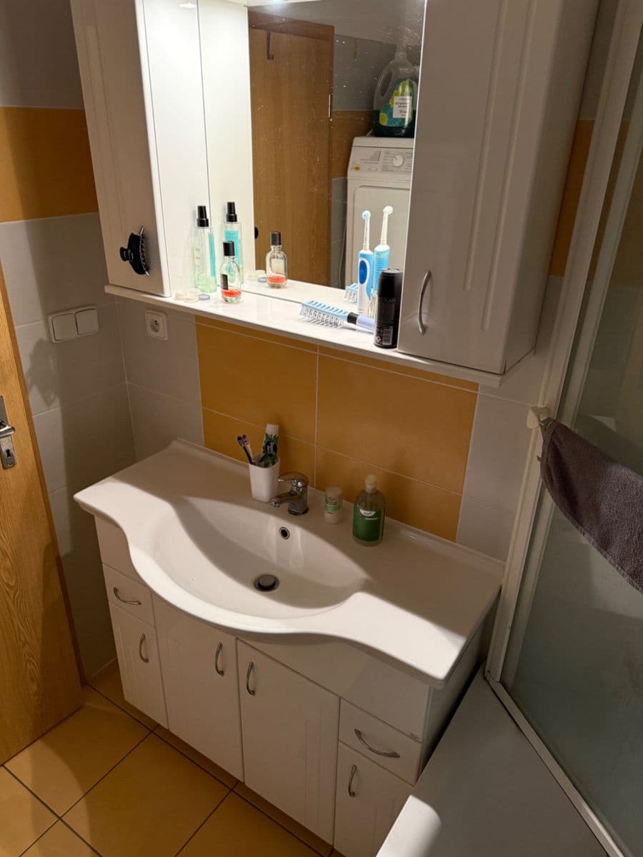 1 bedroom with open-plan kitchen flat to rent, 56 m², Čeňka Růžičky, Brno, Jihomoravský Region 1 bedroom with open-plan kitchen flat to rent, 56 m², Čeňka Růžičky, Brno, Jihomoravský Region