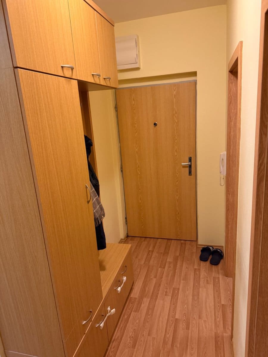 1 bedroom with open-plan kitchen flat to rent, 56 m², Čeňka Růžičky, Brno, Jihomoravský Region 1 bedroom with open-plan kitchen flat to rent, 56 m², Čeňka Růžičky, Brno, Jihomoravský Region