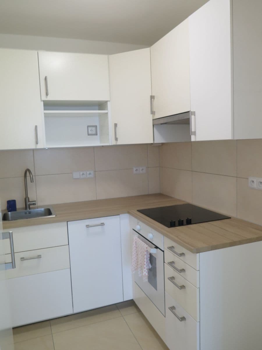 1 bedroom with open-plan kitchen flat to rent, 41 m², U Valu, Prague, Prague 1 bedroom with open-plan kitchen flat to rent, 41 m², U Valu, Prague, Prague