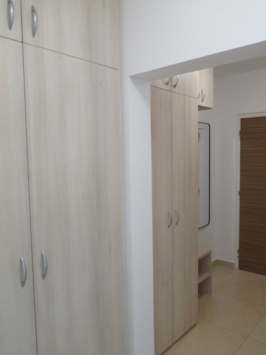 1 bedroom with open-plan kitchen flat to rent, 41 m², U Valu, Prague, Prague 1 bedroom with open-plan kitchen flat to rent, 41 m², U Valu, Prague, Prague