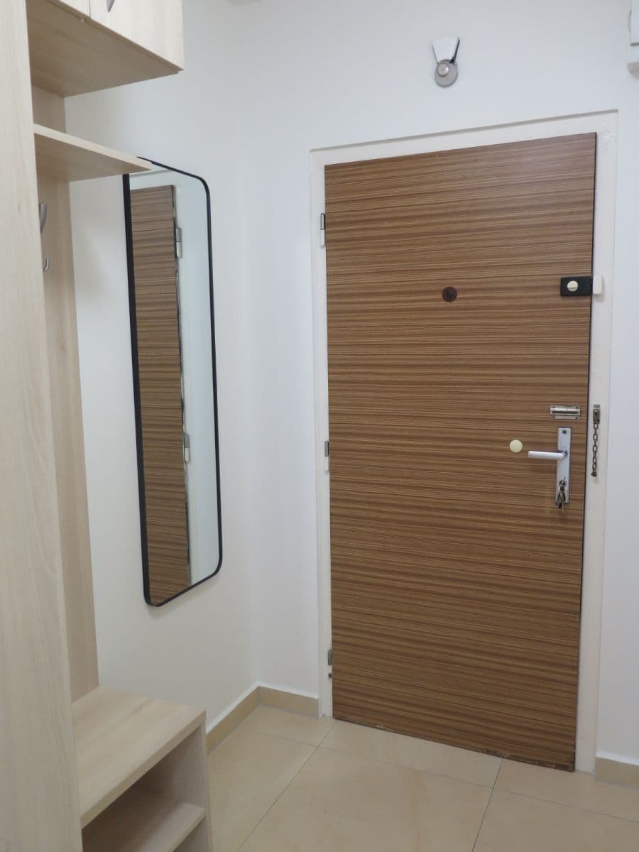 1 bedroom with open-plan kitchen flat to rent, 41 m², U Valu, Prague, Prague 1 bedroom with open-plan kitchen flat to rent, 41 m², U Valu, Prague, Prague