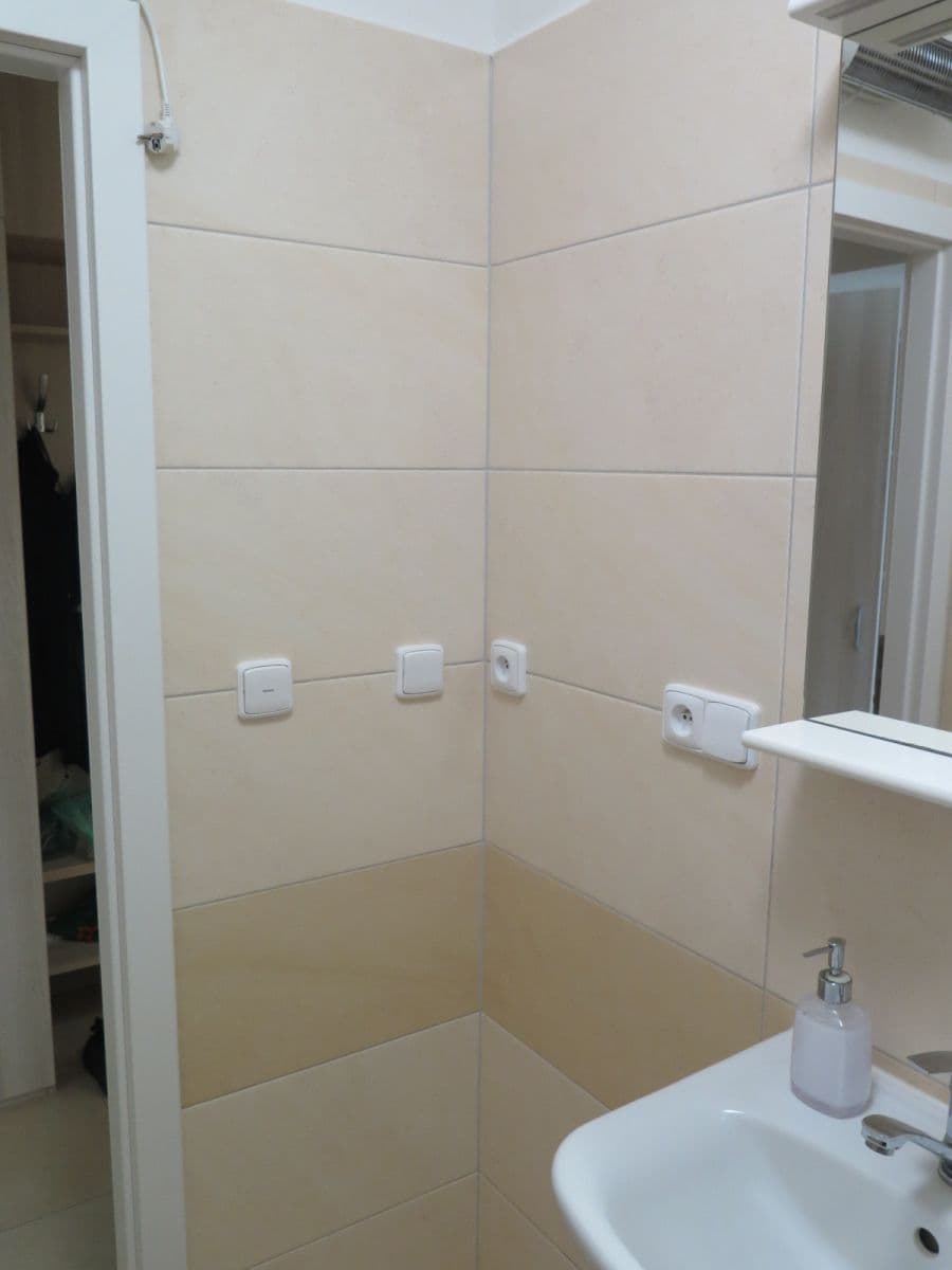 1 bedroom with open-plan kitchen flat to rent, 41 m², U Valu, Prague, Prague 1 bedroom with open-plan kitchen flat to rent, 41 m², U Valu, Prague, Prague