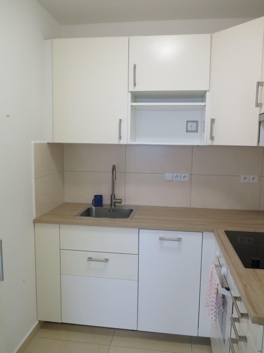1 bedroom with open-plan kitchen flat to rent, 41 m², U Valu, Prague, Prague 1 bedroom with open-plan kitchen flat to rent, 41 m², U Valu, Prague, Prague