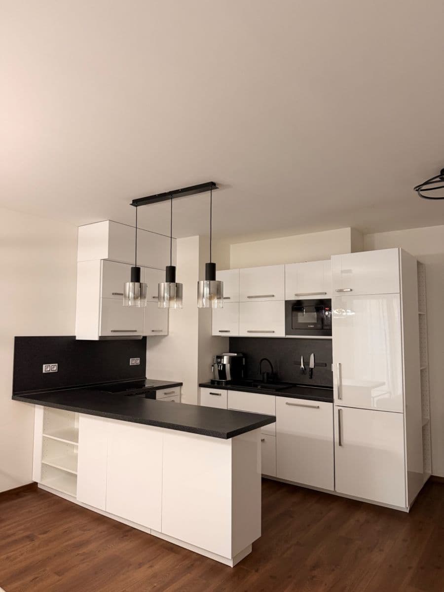 1 bedroom with open-plan kitchen flat to rent, 62 m², Vojenova, Prague, Prague 1 bedroom with open-plan kitchen flat to rent, 62 m², Vojenova, Prague, Prague