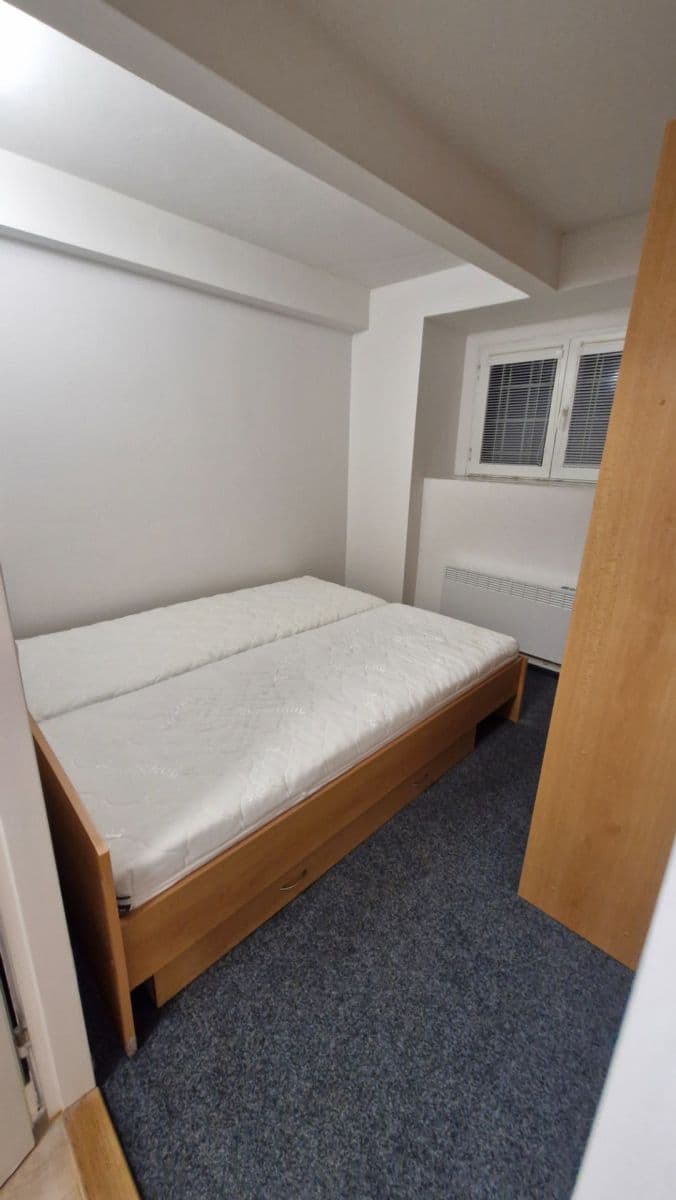 1 bedroom with open-plan kitchen flat to rent, 37 m², Vrchlického, Prague, Prague 1 bedroom with open-plan kitchen flat to rent, 37 m², Vrchlického, Prague, Prague