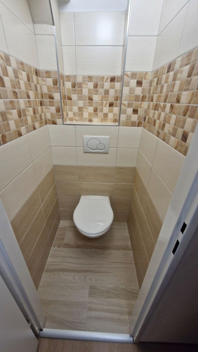 1 bedroom with open-plan kitchen flat to rent, 37 m², Vrchlického, Prague, Prague 1 bedroom with open-plan kitchen flat to rent, 37 m², Vrchlického, Prague, Prague