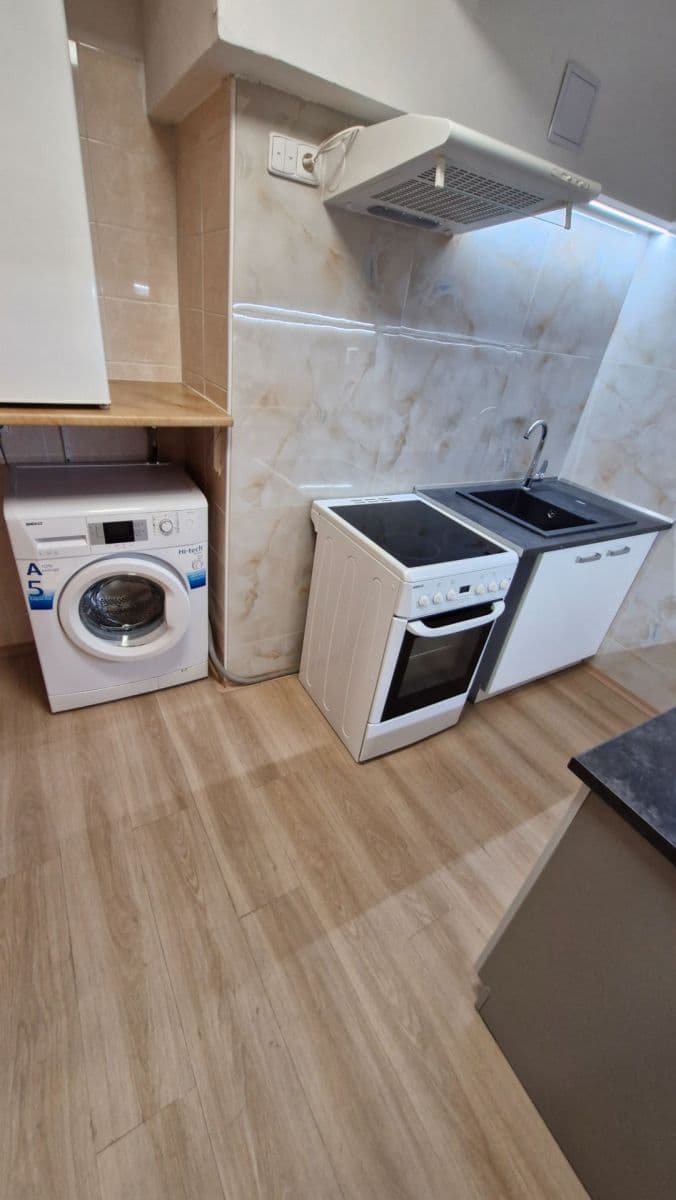 1 bedroom with open-plan kitchen flat to rent, 37 m², Vrchlického, Prague, Prague 1 bedroom with open-plan kitchen flat to rent, 37 m², Vrchlického, Prague, Prague