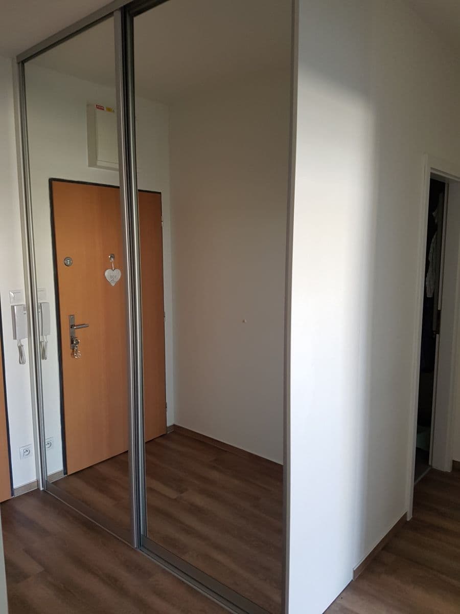 1 bedroom with open-plan kitchen flat to rent, 50 m², Podkovářská, Prague, Prague 1 bedroom with open-plan kitchen flat to rent, 50 m², Podkovářská, Prague, Prague