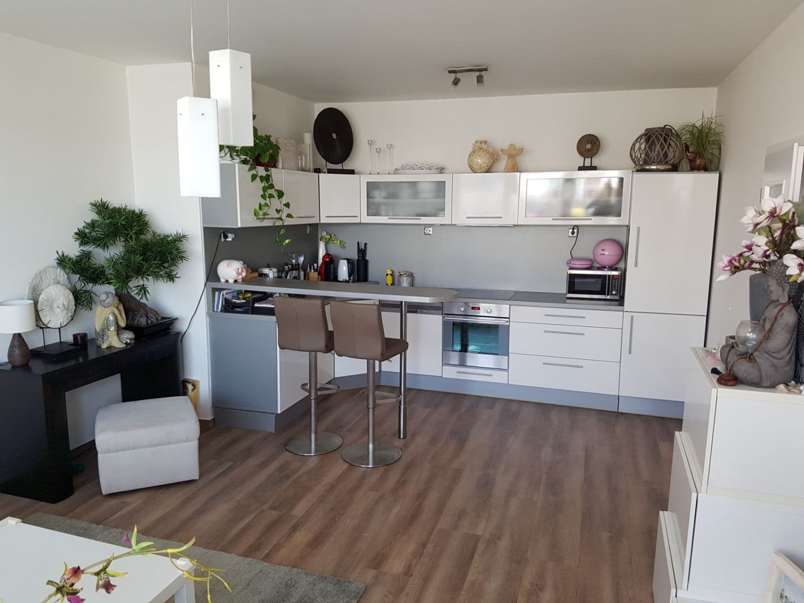 1 bedroom with open-plan kitchen flat to rent, 50 m², Podkovářská, Prague, Prague 1 bedroom with open-plan kitchen flat to rent, 50 m², Podkovářská, Prague, Prague