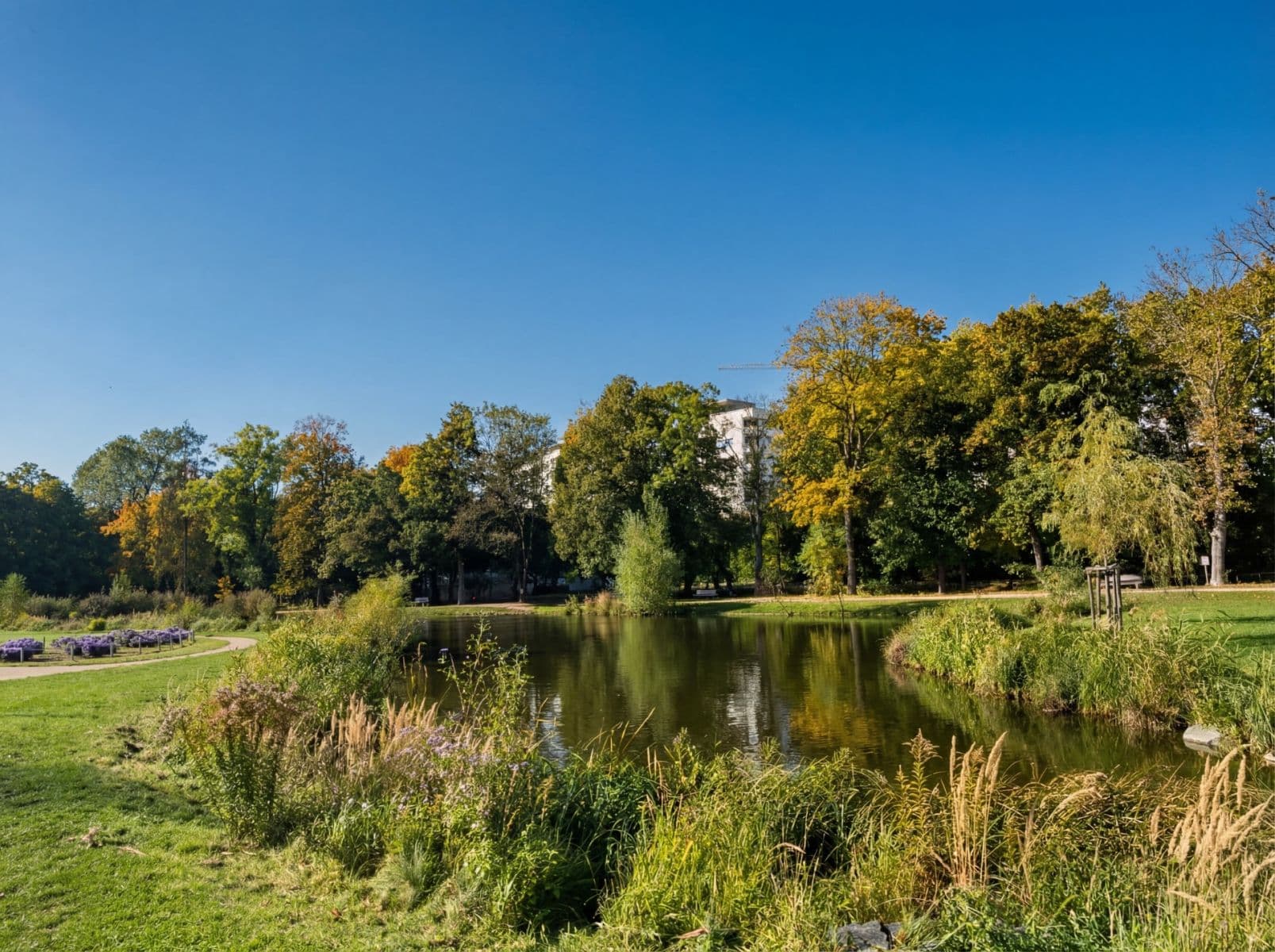 Studio flat to rent, 36 m², Pod Harfou, Prague, Prague Studio flat to rent, 36 m², Pod Harfou, Prague, Prague