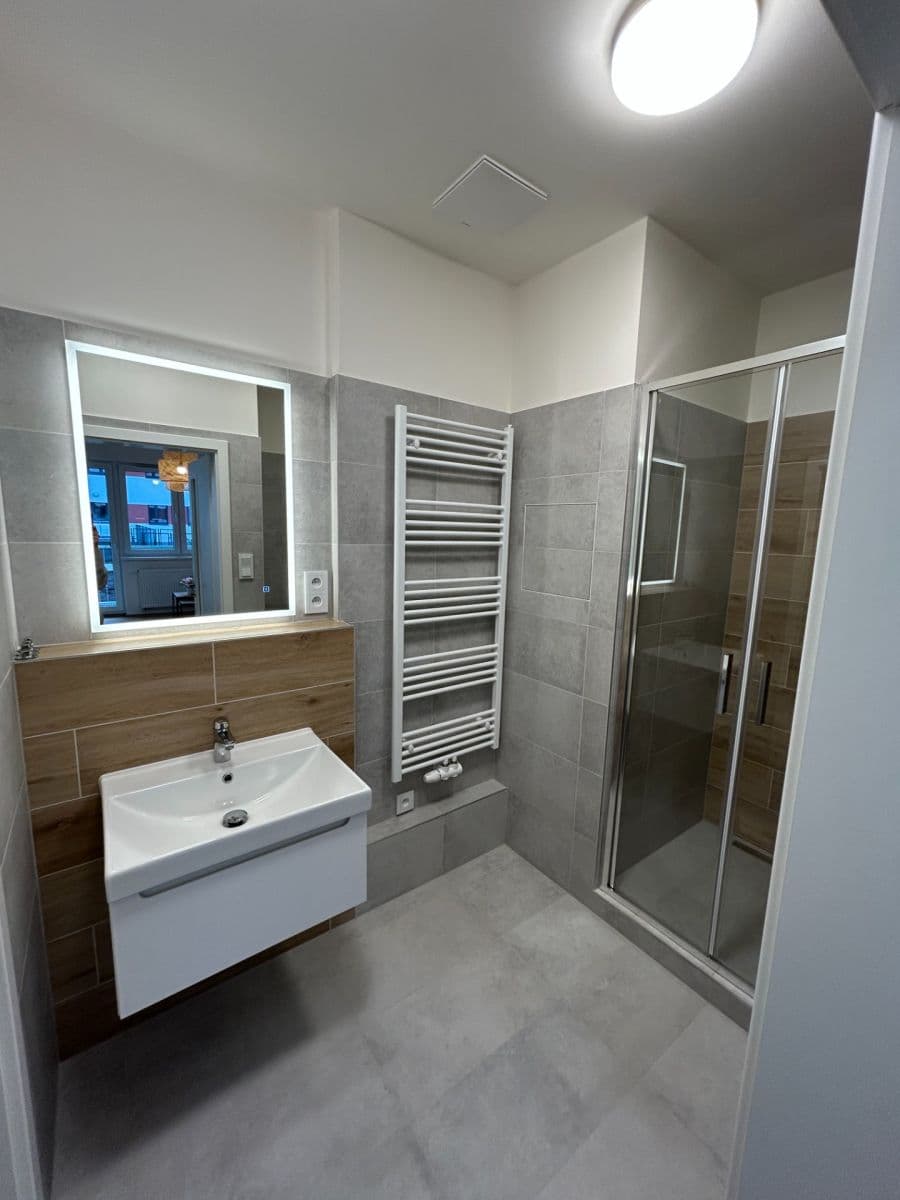 1 bedroom with open-plan kitchen flat to rent, 42 m², Hermanové, Prague, Prague 1 bedroom with open-plan kitchen flat to rent, 42 m², Hermanové, Prague, Prague