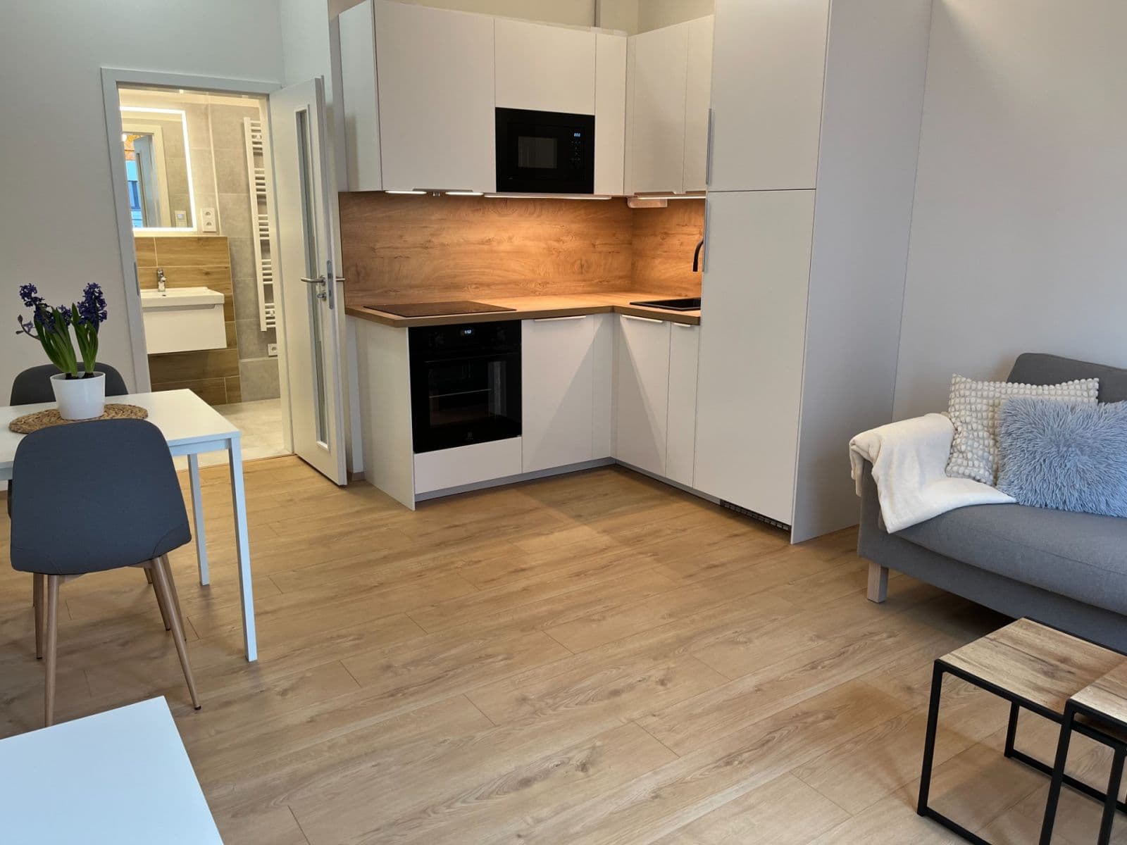 1 bedroom with open-plan kitchen flat to rent, 42 m², Hermanové, Prague, Prague 1 bedroom with open-plan kitchen flat to rent, 42 m², Hermanové, Prague, Prague