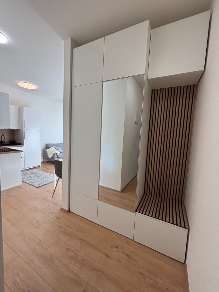 1 bedroom with open-plan kitchen flat to rent, 42 m², Hermanové, Prague, Prague 1 bedroom with open-plan kitchen flat to rent, 42 m², Hermanové, Prague, Prague