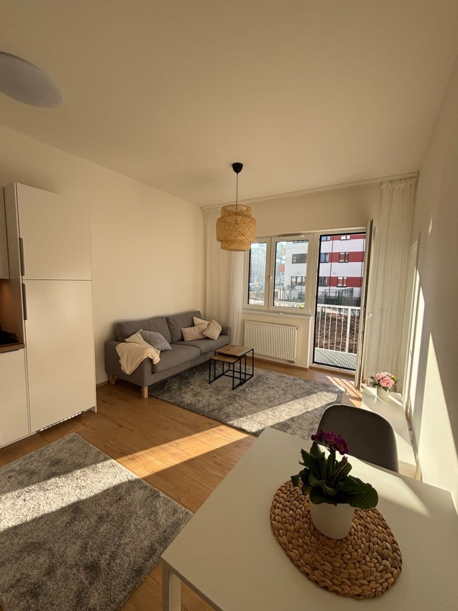 1 bedroom with open-plan kitchen flat to rent, 42 m², Hermanové, Prague, Prague 1 bedroom with open-plan kitchen flat to rent, 42 m², Hermanové, Prague, Prague
